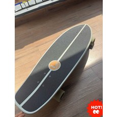 SLIDE 陸地衝浪板 陸沖滑板 初學者成人兒童男女款, 如圖所示, 1個