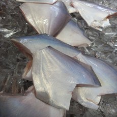 남해안 자연산 횟감용 손질 병어 300g 2-6미 원물 1kg 급냉, 1개