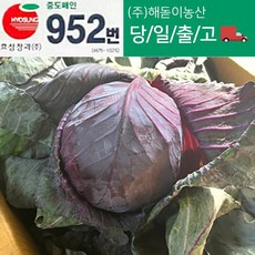 해돋이 농산 국내산 적채 (적양배추) 적색양배추 7~8kg내외, 8kg 내외, 1개