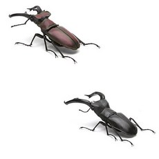 萬代 環保 扭蛋 生物大圖鑑02 鍬形蟲 (高砂深山鍬形蟲 巨顎叉角鍬形蟲 雲頂大鹿角鍬形蟲) 轉蛋, 1個, 鍬形蟲 2款組(01+02)