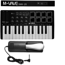 키 컨트롤 키보드 미니 휴대용 딜레이 페달 피아노, 1개, 3. with Delay Pedal, 기본