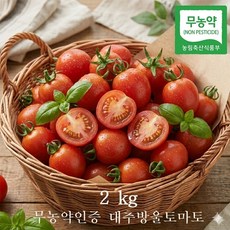 [무농약인증] 국내산 고당도 대추 방울토마토, 1박스, 2kg 무농약인증 대추 방울토마토