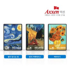 액센 V100 SSD 2.5 SATA3 Van Gogh Series 120GB~1TB, 256GB