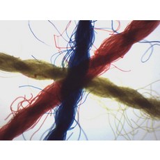 EISCO 크로스 컬러 스레드 준비된 현미경 슬라이드 전체 마운트 75 x 25mm 소개, Single Slide