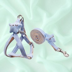 가벼운 고양이 강아지 자동줄 귀여운 중형견 개줄 개줄, 블루, 블루, 1개