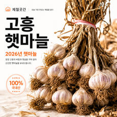 26년 국내산 고흥 햇마늘 통마늘 소 반접, 1개, 소(반접)