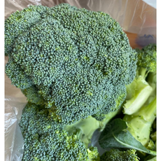 국내산(제주) 브로콜리 1kg 2kg 브로컬리 야채 broccoli 싱싱한브로컬리 브러컬리1kg 국산브로컬리 제주특품 제주브로콜리 브로컬리제주 햇브로컬리, 1개