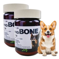 프로 뉴트리언트 강아지 고양이 영양제, 뼈/관절강화, 2개, 120g