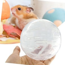 소동물 투명 구형 활동 공간 확장 놀이 도구 실내 활동량 증진 굴림 운동 기구, 1개, 상세페이지 참조