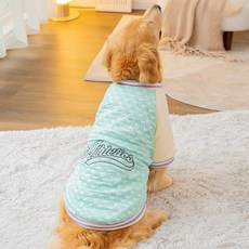 鬼點子 寵物冬季新款燈心絨狗衣服, 蒂安綠, 1個
