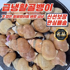 [푸디픽] 동해안 자연산 급냉 활골뱅이 800g x 1팩, 1개, 상세페이지 참조