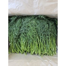 정지농장 국내산 특품 생허브 딜, 1개, 500g