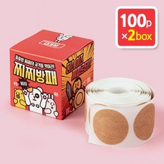 레드컨테이너 찌찌방패 니플밴드 100p / 2중 구조 통기성 피부톤 밴드, 2개