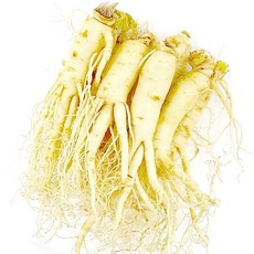 더굿진생 6년근인삼 수삼 금산인삼 원수삼, 1개, 세척인삼 대700g(12~14뿌리)