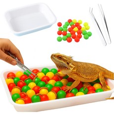 수염 용 강화 키트 장난감 100개의 플라스틱 공으로 먹이를 찾는 용이 가지고 놀 수 있는 먹이 쟁반 및 핀셋 - 파충류용