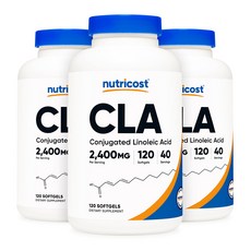 뉴트리코스트 CLA 2400mg 소프트젤 120정 3개
