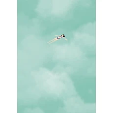 동물 호랑이 포스터 야수 정글 킹 캔버스 회화 대형 HD 인쇄 벽 예술 그림 거실 장식, 03 1, 06 40X60cm Unframed, 1개