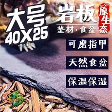 邦邦水族爬蟲 陸龜岩石板 陸龜石板 爬蟲石板 陸龜磨甲岩板 陸龜食盤 蠍子交尾板 曬背板 菜盤, 方形30*20cm, 1個