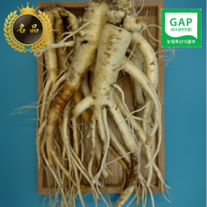 [약도라지] 세척도라지 세척약도라지, 1박스, 상품 2kg