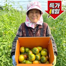 [2일초특가] 딱100박스만 부산 대저토마토 고당도, 1박스, 2L-L