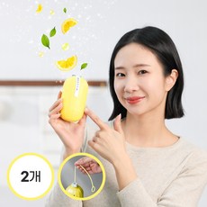 바르다케미칼 향기나는 화장실 변기 세정제 자동 변기클리너, 2개, 250g