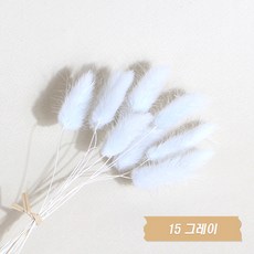 화연양화 프리저브드플라워 선별 라그라스 강아지풀 10개입, 15 그레이
