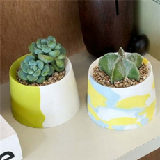 작은 다육 화분 인테리어 도자기 화분 가드닝 키트 책상, q. 용신목