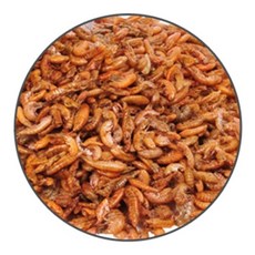 거북이사료 감마루스 열대어먹이 30g 거북이밥bel9+1sHk