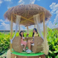 TFOT戶外網紅鳥巢卡座藤編沙發樹上鳥窩造型，打卡餐廳景區民宿戶外座椅，寵物外出便攜式安全座椅, 1.8米卡座+2.2米稻草傘, 1個