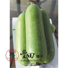 【野菜部屋~】K37 清天小冬瓜種子 中包裝, 1包