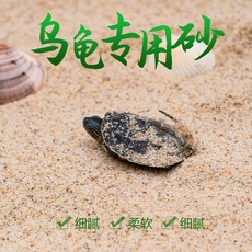 台灣熱銷 烏龜純天然免洗用細河沙魚缸兩用鋪底石底砂草龜流冬眠魚缸底沙, 烏龜棉花砂9斤, 1個