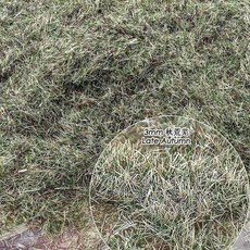잔디 분말 모델 나일론 가짜 벨벳 초원 만들기 재료 풍경 기차 철도 레이아웃, 1개, 8. 3mm late autumn