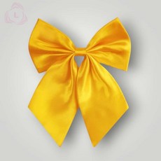 리본 넥타이 남아넥타이 나비넥타이 어린이나비넥타이