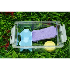 조이 클린 케이지 소 투명 도마뱀 크레스티드게코 파충류 사육장, 1개