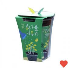 유아동 미술교구 쑥쑥 콩나물 키우기 교구 재료, 1개