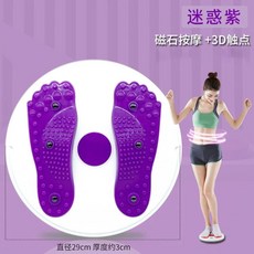 공기주입식 스탭퍼 발지압 유산소 실내 걷기 운동기구, K. 자석 허리 비틀기 디스크 보라