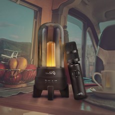 더씽 블루투스 마이크 스피커 블랙, The sing M80