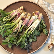 국내산 땅두릅 특품 300g 500g 1kg 봄 제철 산나물 신선배송