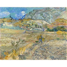 Landscape at Saint-Rémy (Enclosed Field with Peasant) 아트포스터 감성선물 고흐, 그림만(매트지), 42x53.19