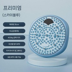 지압매트 트위스트 회전 발지압판 관리 지압판 2-in-1 엘레강트핑크, 2. 블루 플래그십