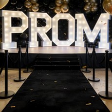 쿠즈시시 3피트 x 10피트 레드카펫 러너 450GSM 초두꺼운 미끄럼 방지 TPR 고무 할리우드 & 오스카 런웨이용 실내/외 카펫 결혼식 무도회 시상식 홈 파티 청소, Black, 3x10 ft