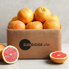 썬리지 루비레드 자몽 중소과, 1박스, 4kg