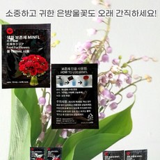 솔라르 민플 생화 보존제 수명연장제, 15개, 10ml