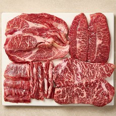 마장동 한우이츠 1++등급 한우선물세트, 1세트, 프리미엄 5호 (일반 감사장), 1kg