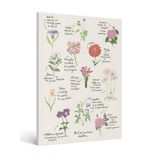 Carnet Fleurs A4 - Zoé de Las Cases:조에 드 라스 카스 - 카르네 플라워 A4 노트, Carnet Fleurs A4 - Zoé de La.., Zoé de Las Cases(저), Hachette