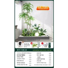 인조화단 세트 조형물 테라스 실내조경 꾸미기 카페 마당, 자카란다 조경 세트 디자이너