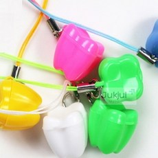 유치 보관 케이스