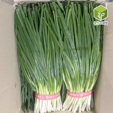 국내산 흙쪽파 깐쪽파 2kg 1box, 1개