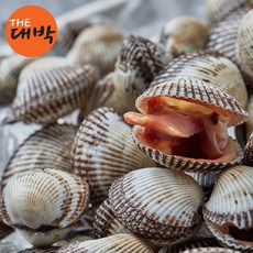 벌교 새꼬막 당일채취 생물 꼬막무침, 1개, 새꼬막(중/100미 내외) 1kg