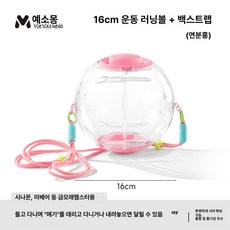 나나상점 피그미다람케이지 이동장 슈가글라이더 집 햄스터 고슴도치 앵무새 다람쥐 사육장 하우스 친칠라 피그미다람쥐 도마뱀, 1개, 16cm 핑크 곰